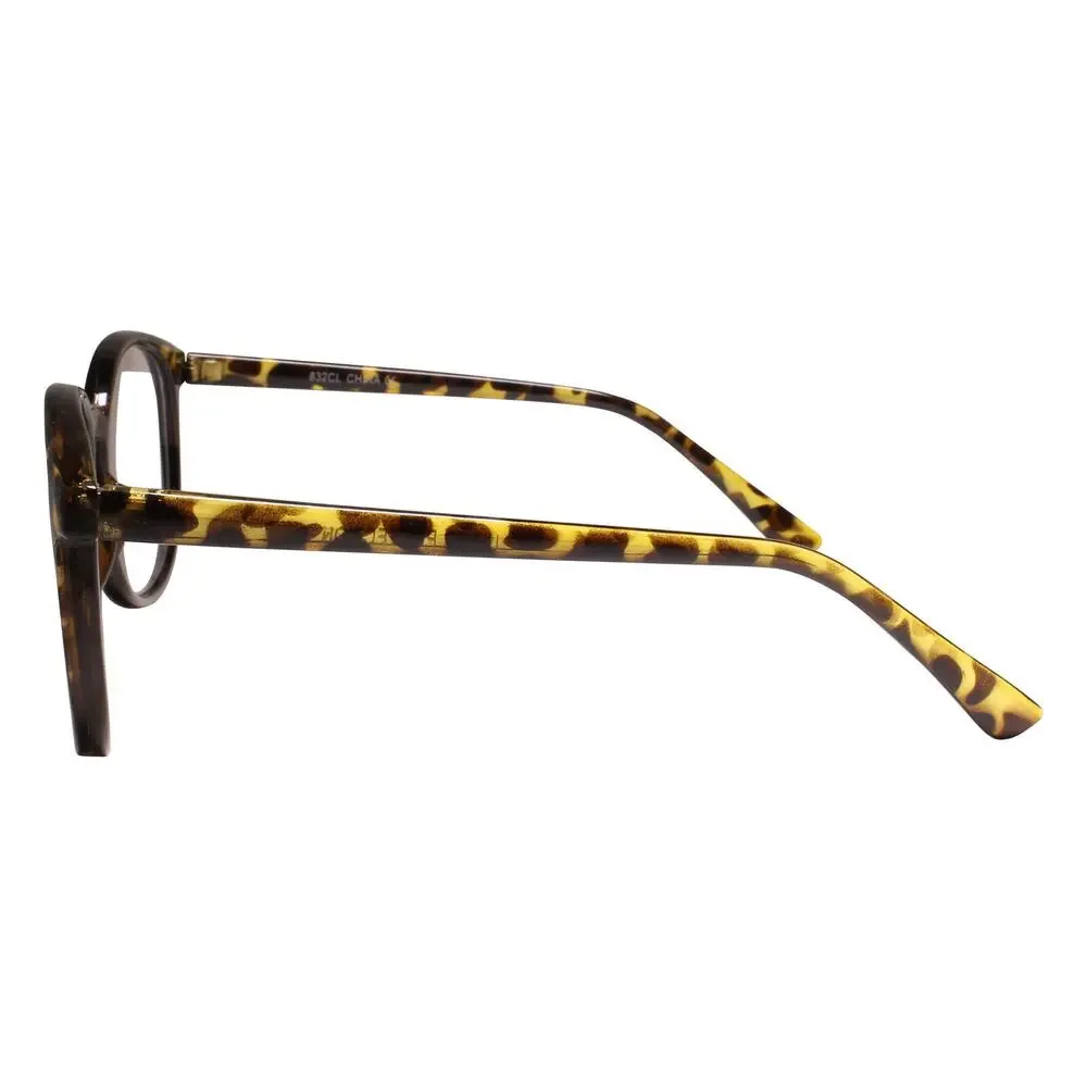 Oversized Round Tortoise Clear Lens Glasses Retro Women's